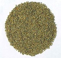 Bajri
