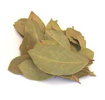 Bay Leaves