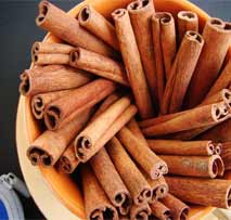 Cinamon Stick