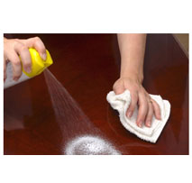 Furniture Cleaner