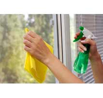 Glass Cleaner