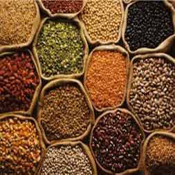 Grains (Whole)