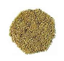 Jowar