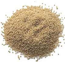 Poppy Seeds (Khus-Khus)