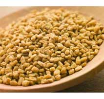 Methi (Fenugreek)