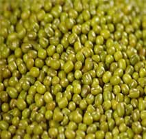 Moong