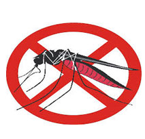 Mosquito Repellent