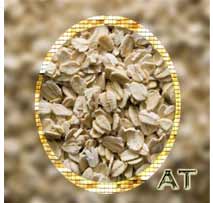 Oats