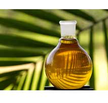Palmolive Oil