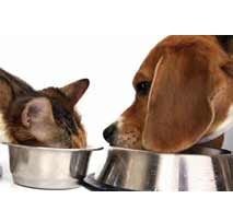 Pet Food