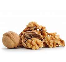 Walnut with shell