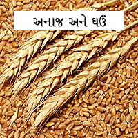 Wheat & Other Grains