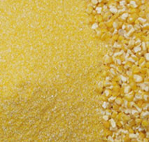 Maize Flour