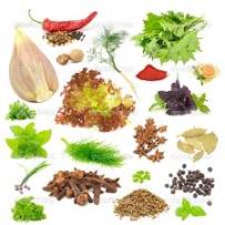 Preparation Ingredients