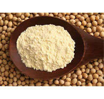 Soyabean Flour