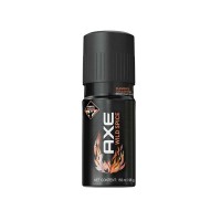 AXE Wild Spice Deodorant