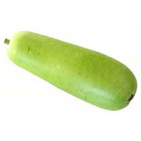 Bottle Gourd (Dudhi)