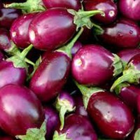 Brinjal (Ringan)