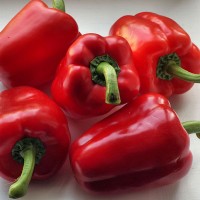 Red Capsicum