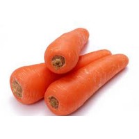Carrot (Gajar)