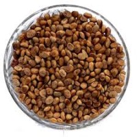 Chironji Seeds (Charoli)