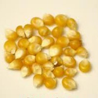 Corn Dana (Makai Dana)