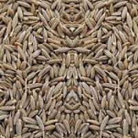 V.I.P.  Cumin Seeds (Jeera)