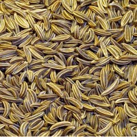Jeera (Cumin)