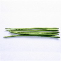 Drumstick (Sargva ni Sing)