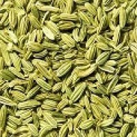 Fennel  (Valiyari)