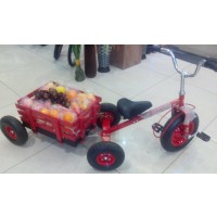 New World - Fruit Trolley Cycle