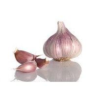 Garlic (Lasan)