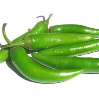Green Chilli (Lila Marcha)