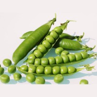 Green Peas Dana