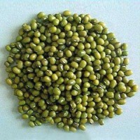 Moong