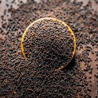 Mustard Seeds (Rai) Small