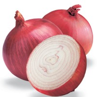 Onion (Dungdi)