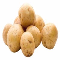 Potato Regular
