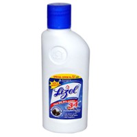 Lizol Disinfectant Surface Cleaner - Pine 