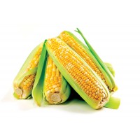Sweet Corn