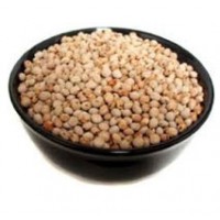 Toor Premium