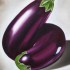 Brinjal Purple