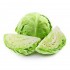 Cabbage
