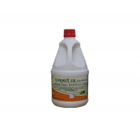 Patanjali  ALOE VERA JUICE WITH ORANGE FLAVOUR