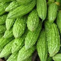 Bitter Gourd (Karela)