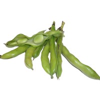 Broad Beans (Papdi)