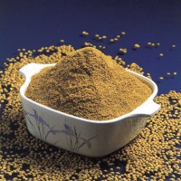 SK Dhani ( Coriander Seeds)