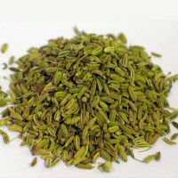 Variari (Fennel)