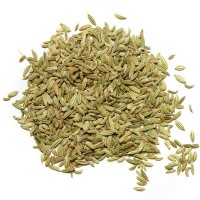 Variari (Fennel)