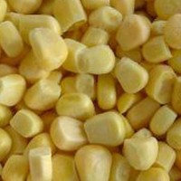 Frozen Corn